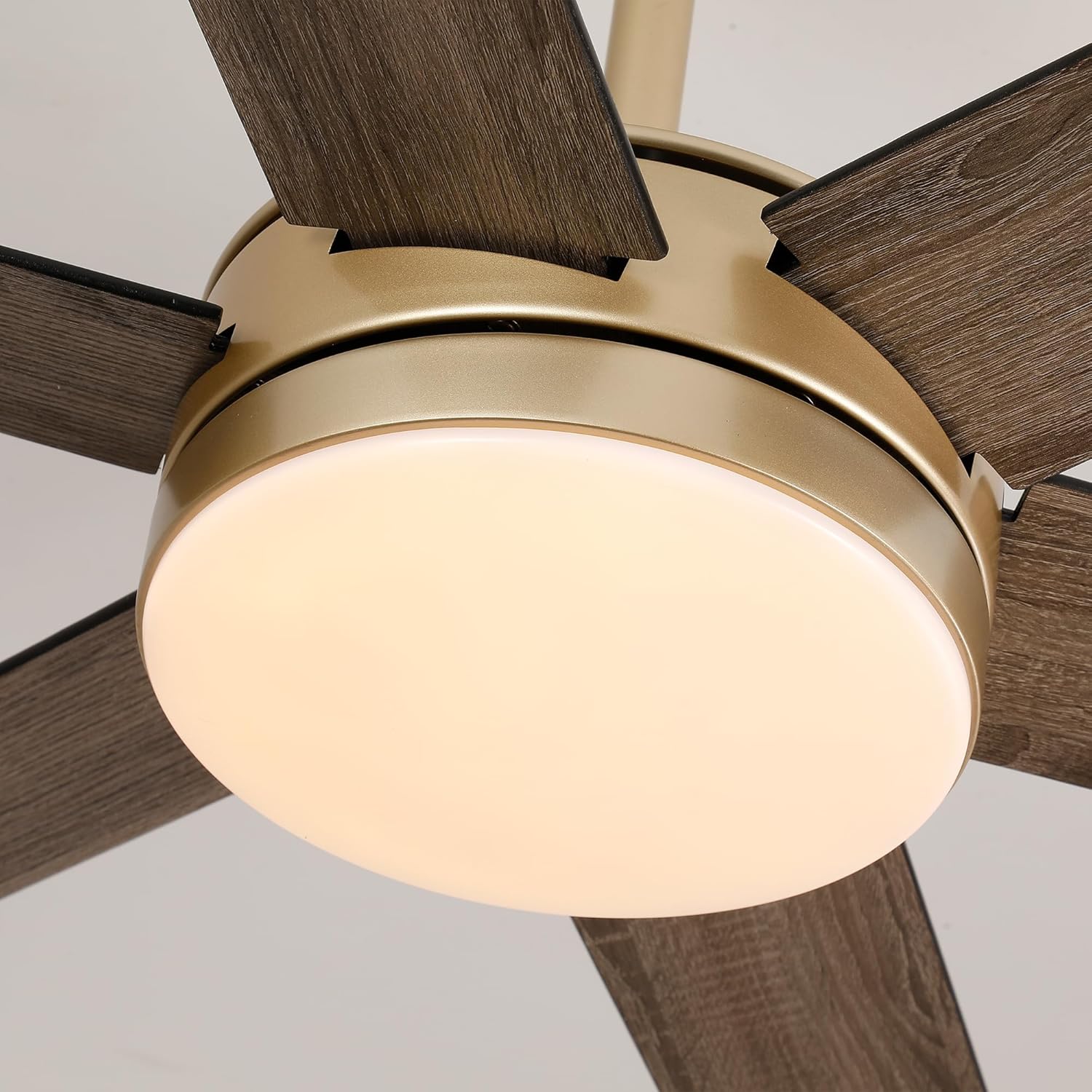 60 Inch Large Gold Ceiling fan with Lights and Remote/APP, Modern Black and Gold Ceiling Fan for bedroom Living Room Shop with 3CCT, 6-Speeds, Timer, 5 Blade Indoor Sleek Brass Fandelier