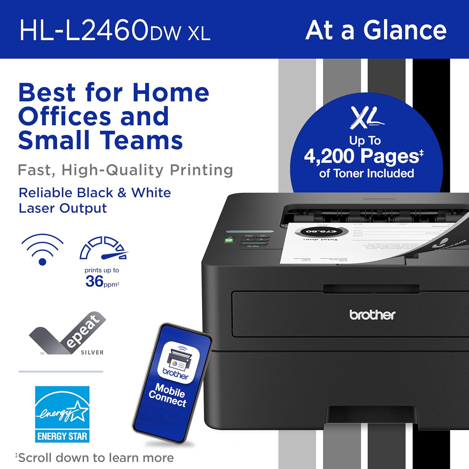 Brother HL-L2460DWW XL Wireless Compact Monochrome Printer with Duplex Copy & Scan, Fax, Black & White | Up to 4,200 Pages of Toner Included(1), Works with Alexa