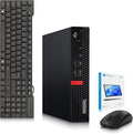 Lenovo ThinkStation P320 Mini PC - Intel Core i7-7700T - 16GB DDR4 RAM - 512GB NVMe SSD - Wi-Fi - Windows 11 Pro - NVIDIA Quadro P600 GPU - Tiny Desktop - Compact Business Desktop (Renewed)