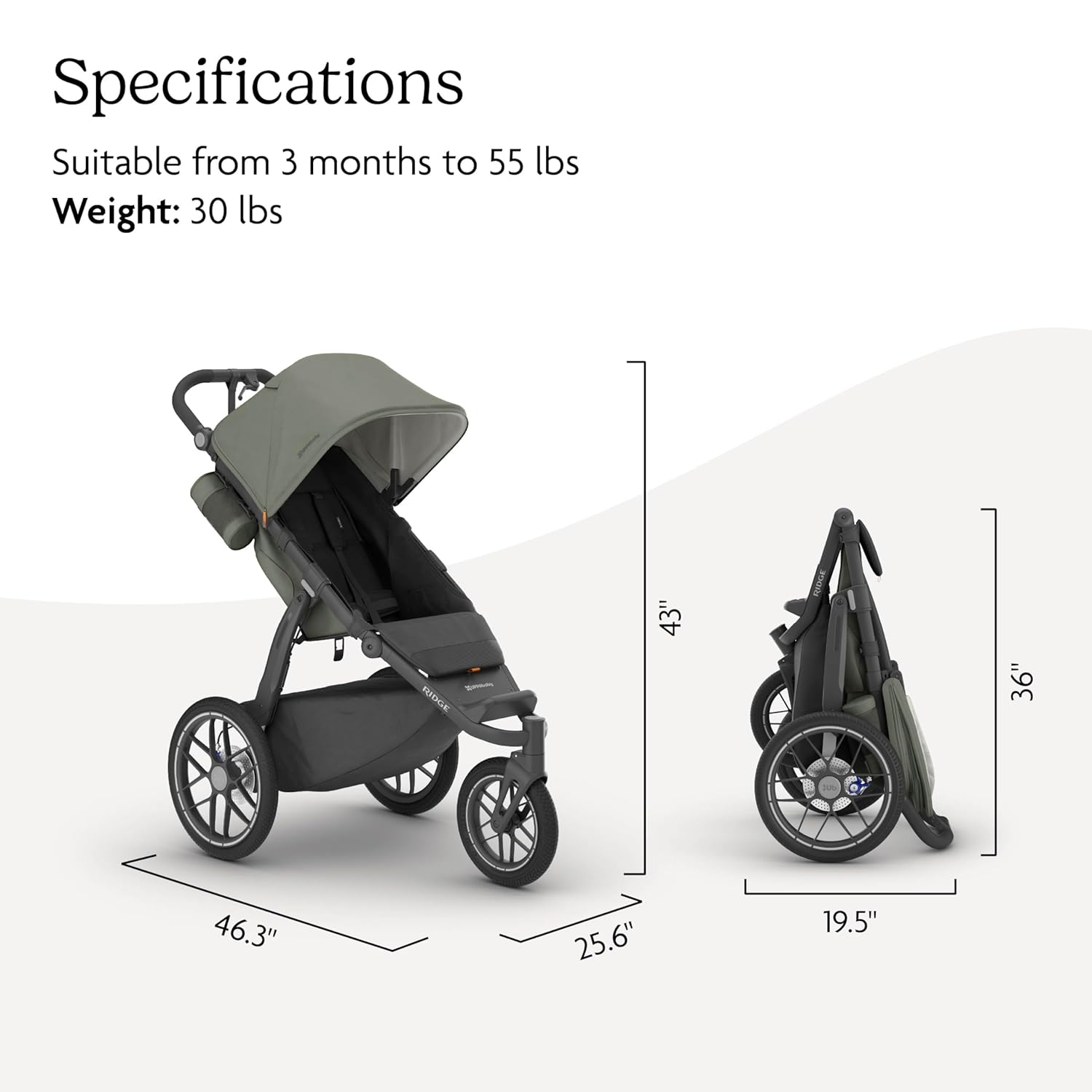 UPPAbaby Ridge V2 Jogging Stroller | All-Terrain Performance Suspension + Never-Flat Tires Built for Walking, Running + Trails | Water Bottle Holder Included | Evelyn (Meadow Green | Carbon Frame)