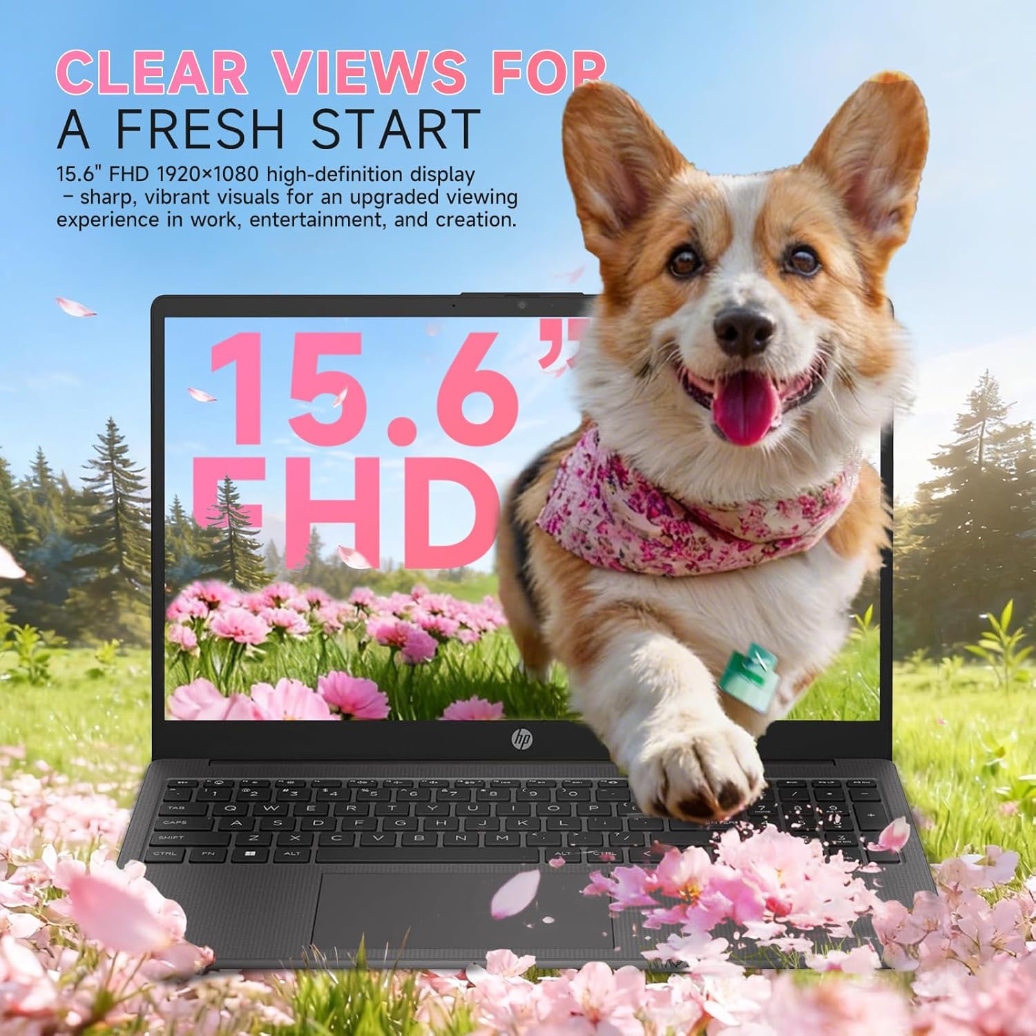 HP Flagship 15.6" FHD Business Laptop, AMD Ryzen 7 7730U, 16GB RAM, 512GB PCIe SSD, Office 365 for the Web, Windows 11 Pro, Numeric Keypad, Webcam, Wi-Fi 6, Patented Accessory